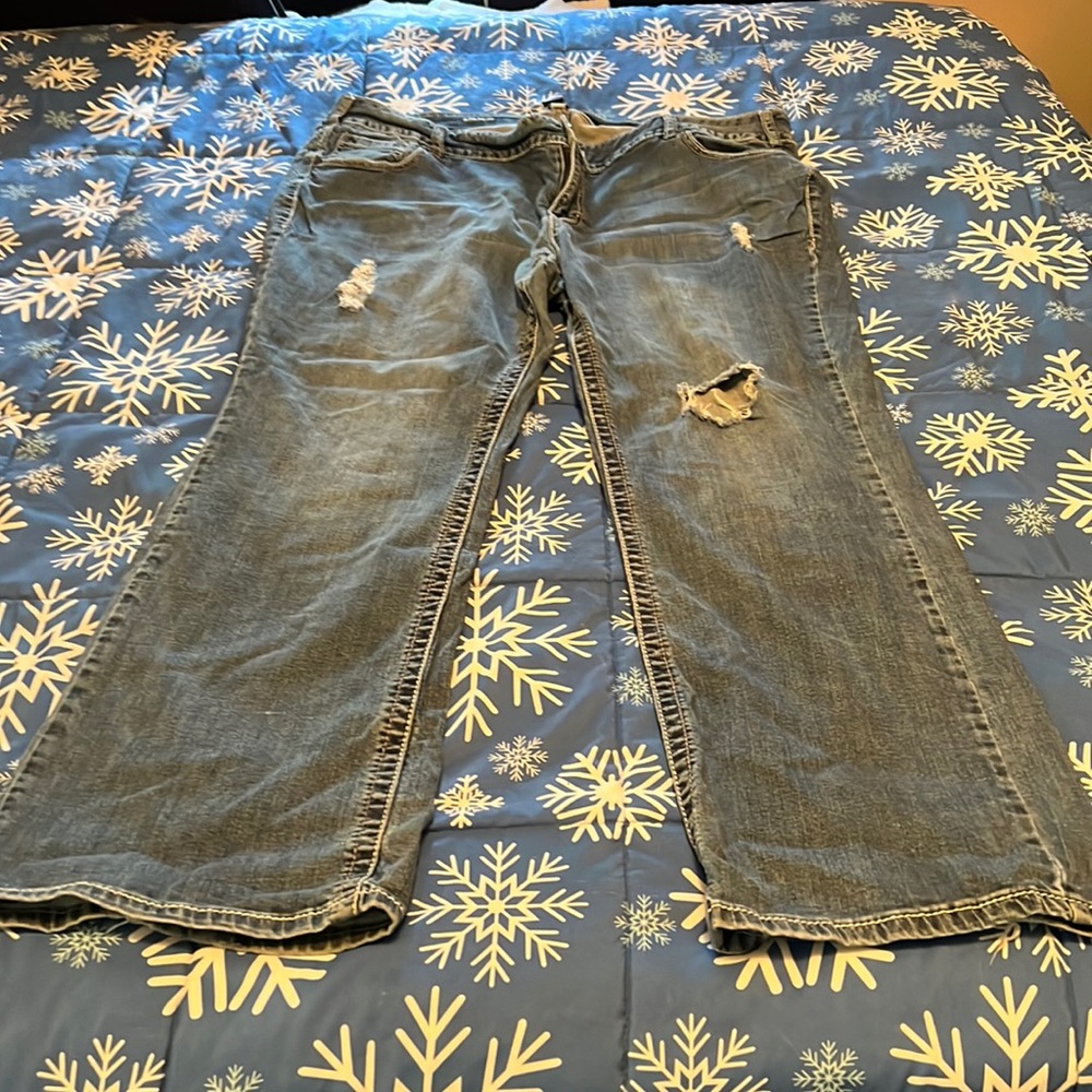 Lane Bryant jeans
